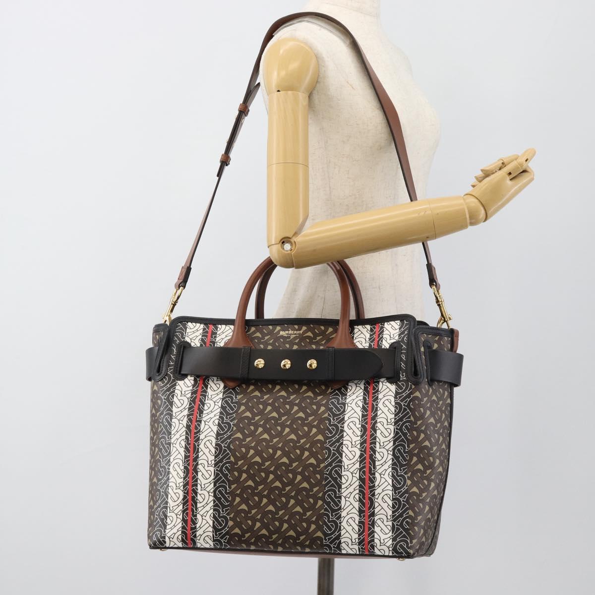 BURBERRY Hand Bag PVC Canvas 2way Brown Gold Auth 186191M