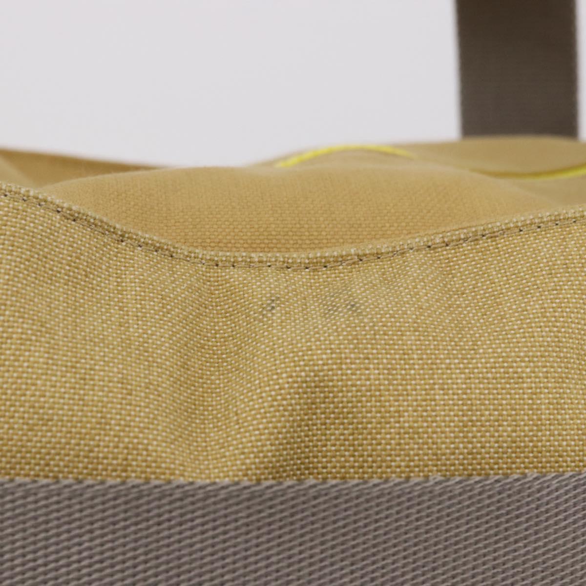 LOEWE Loewe Nature Tote Bag Canvas 2way Beige Silver Auth 186333A