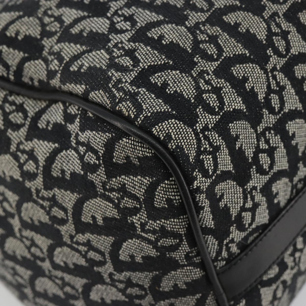 Christian Dior Trotter Canvas Hand Bag Navy Silver Auth 186666A