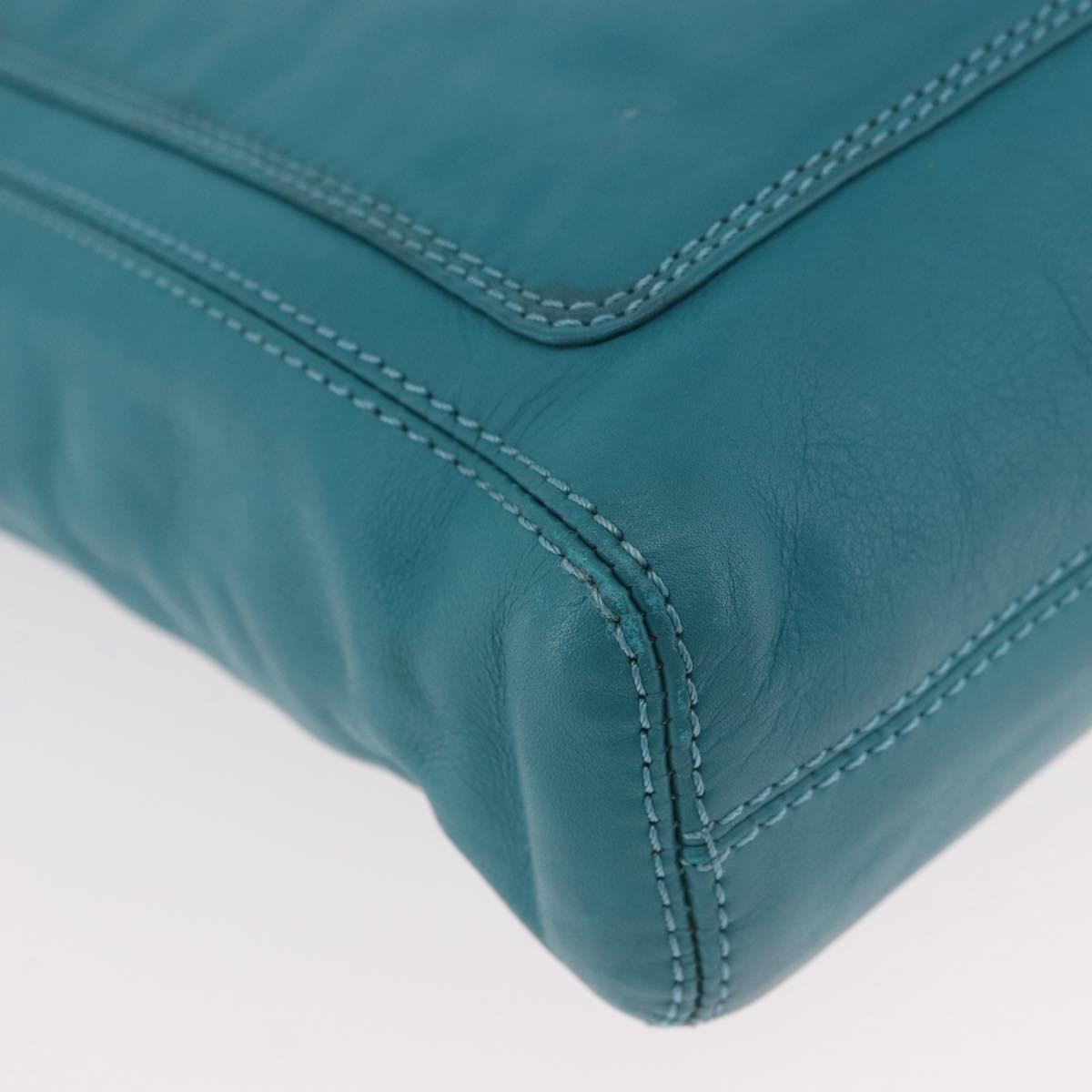 CHANEL Tortoise Pattern Chain Tote Bag Lamb Skin Turquoise Blue CC Auth 187038A