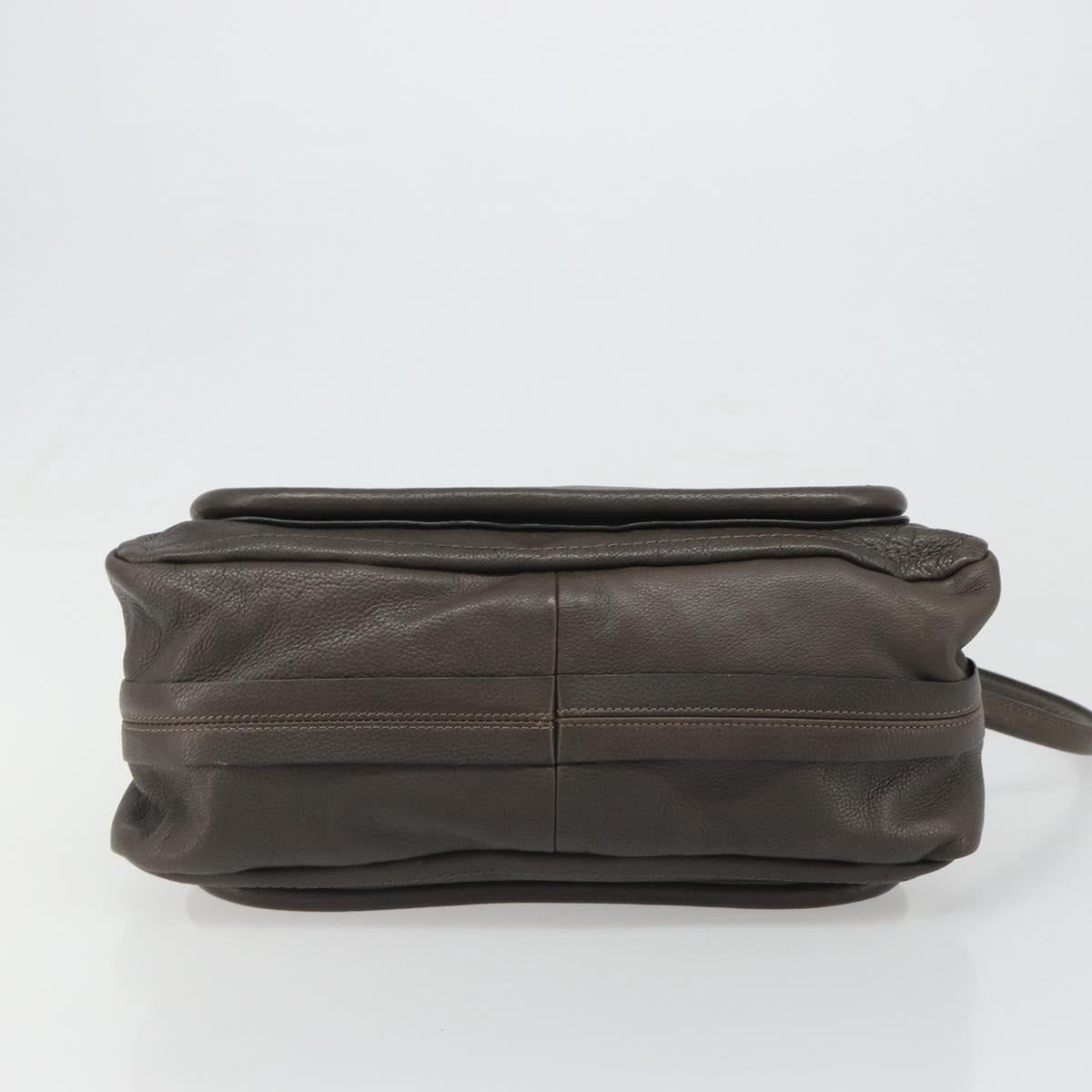 Chloe Paraty Hand Bag Leather 2way Brown Gold Auth 187206A
