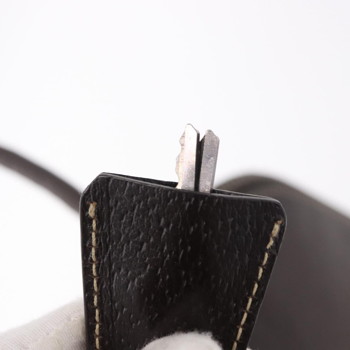 PRADA Hand Bag Leather Brown Gold Auth 187510A