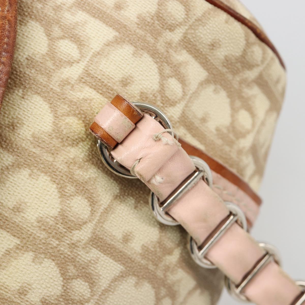 Christian Dior Trotter Canvas Romantic Bag PVC Beige Silver Auth 187615A