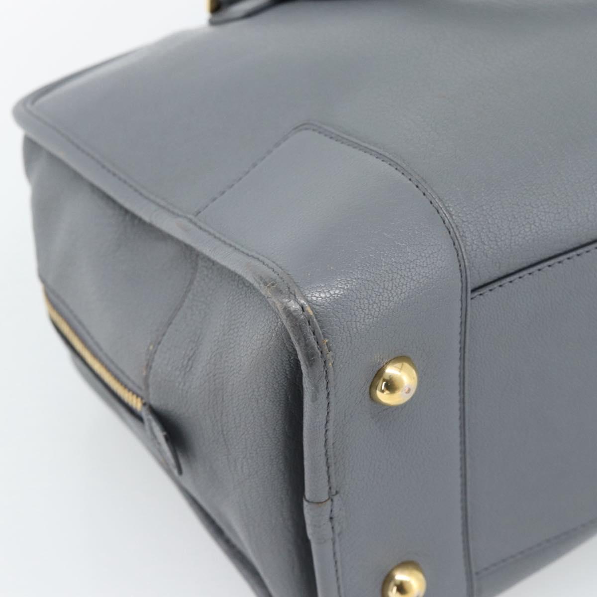 LOEWE Amazona 36 Hand Bag Leather Gray Gold Auth 187619V