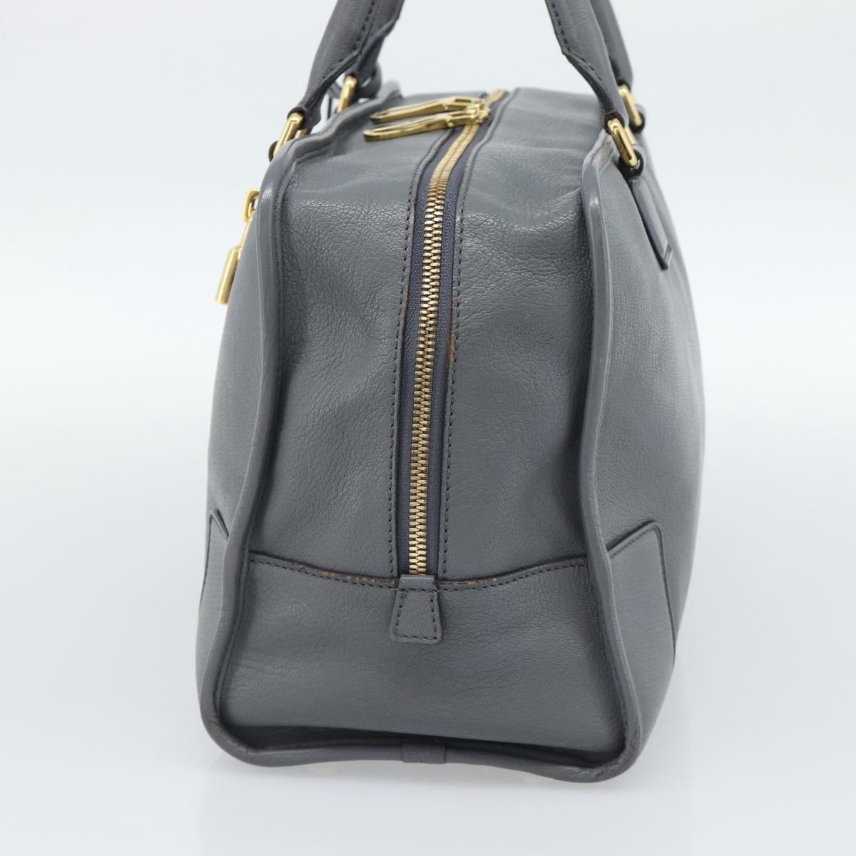 LOEWE Amazona 36 Hand Bag Leather Gray Gold Auth 187619V
