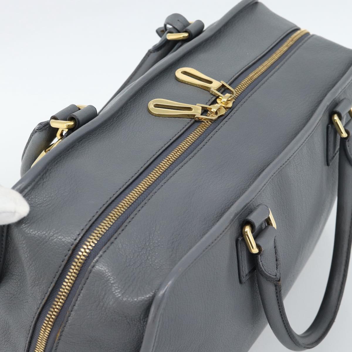 LOEWE Amazona 36 Hand Bag Leather Gray Gold Auth 187619V