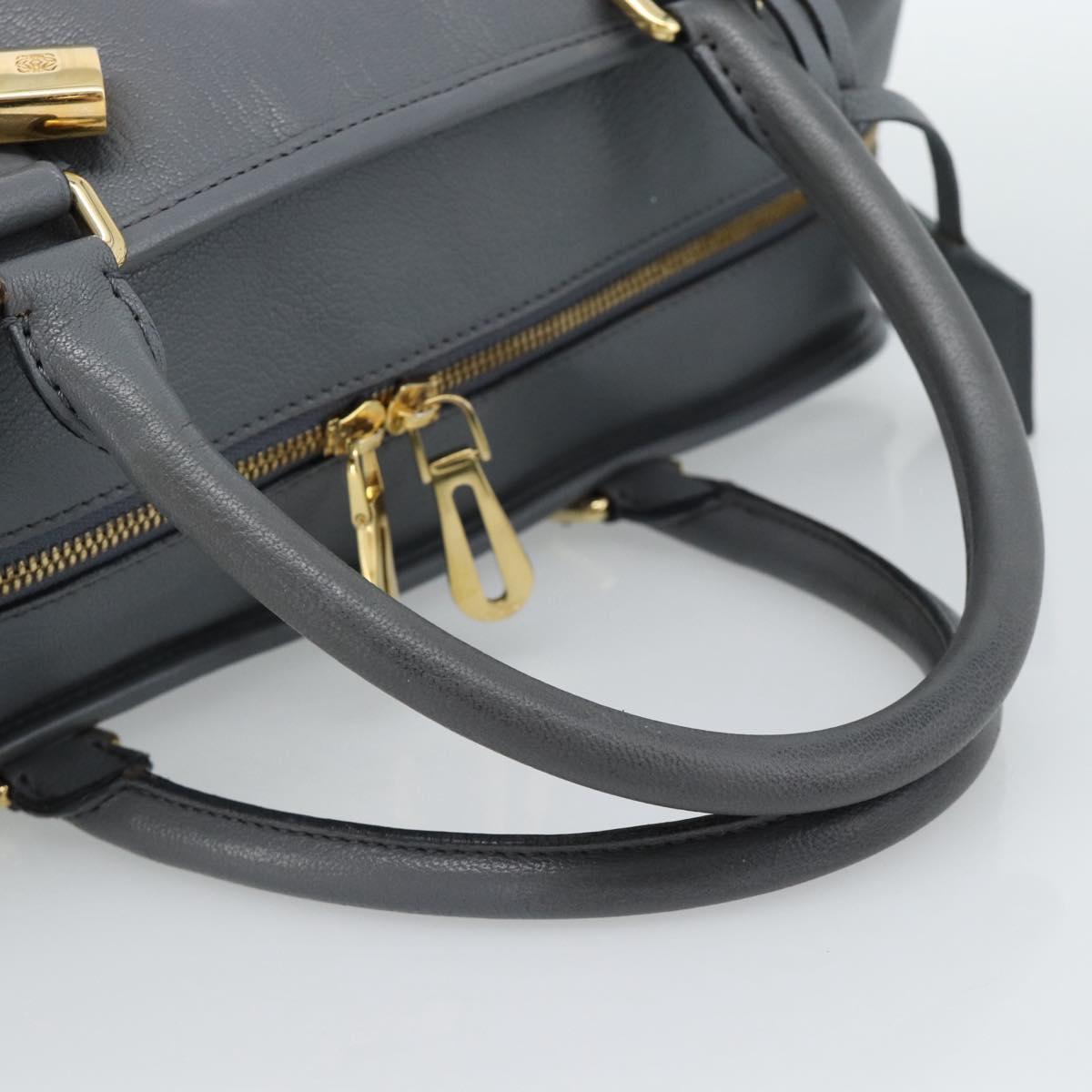 LOEWE Amazona 36 Hand Bag Leather Gray Gold Auth 187619V