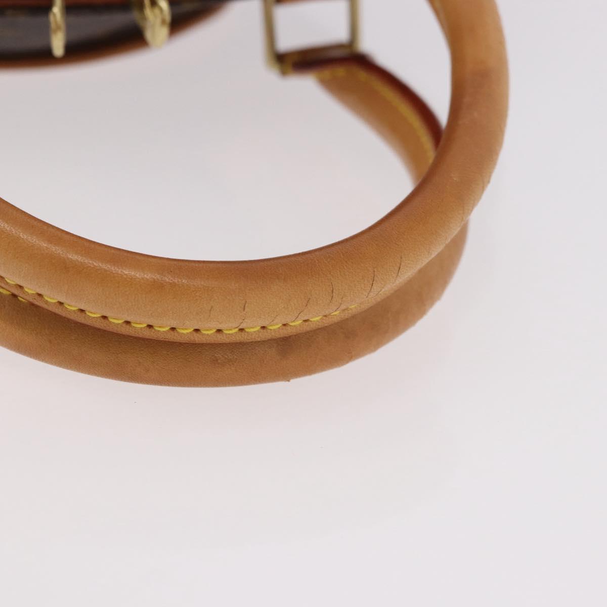 LOUIS VUITTON Monogram Ellipse MM Hand Bag M51126 LV Auth 187970A