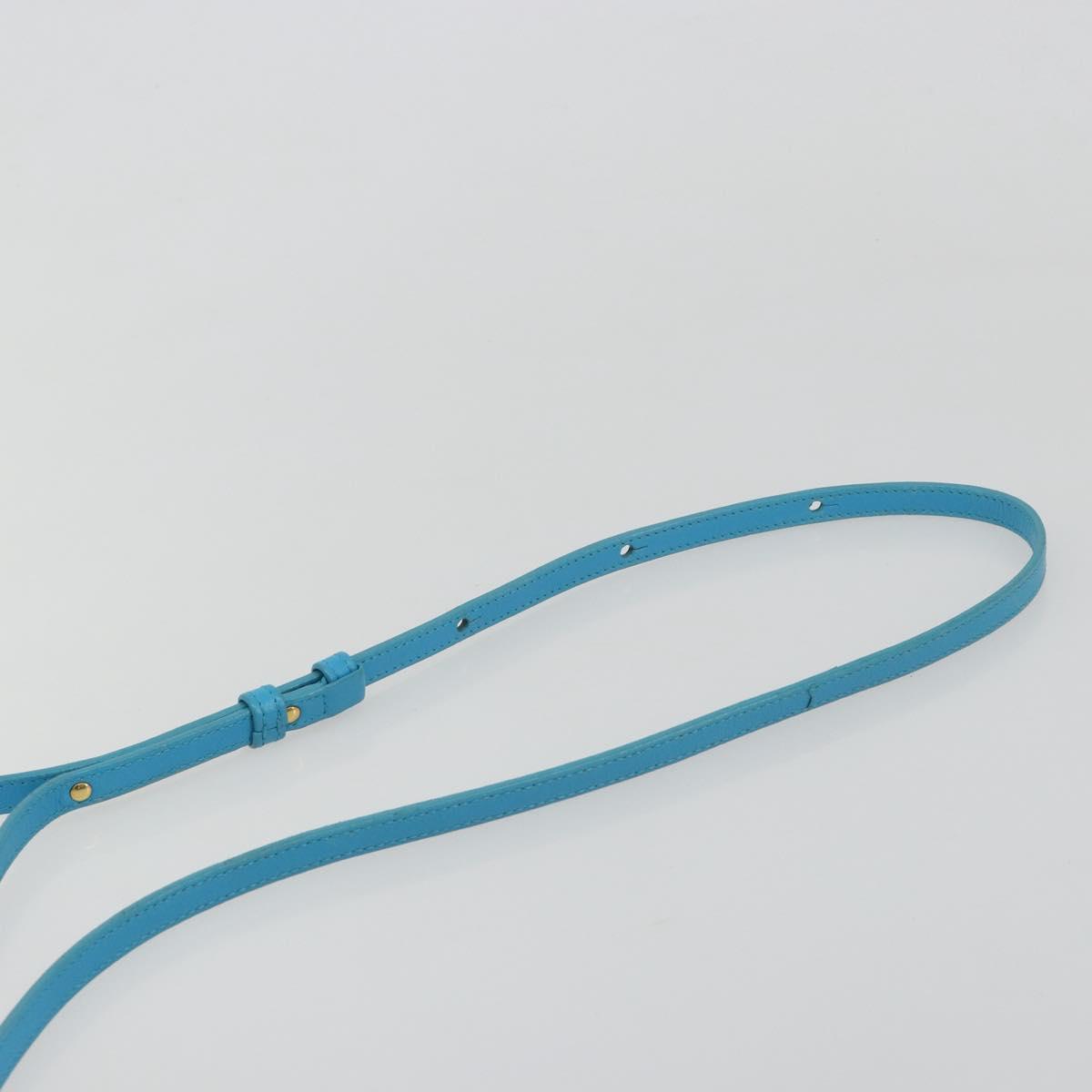 CELINE Trio Shoulder Bag Leather Light Blue Gold Auth 189302