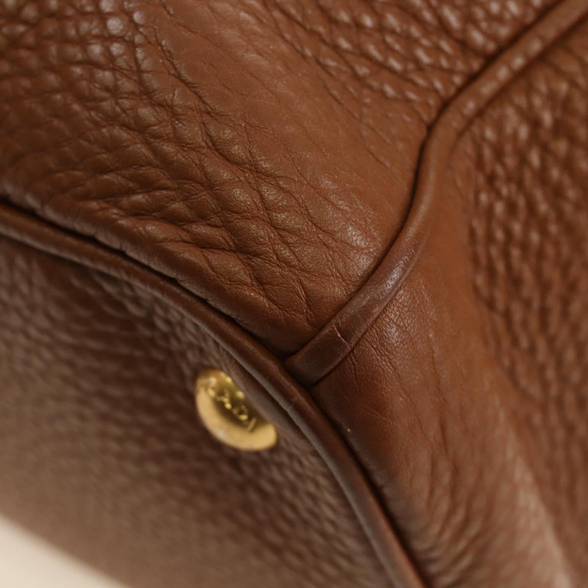 PRADA Hand Bag Vittero Dino Leather Brown Gold Auth 189305V
