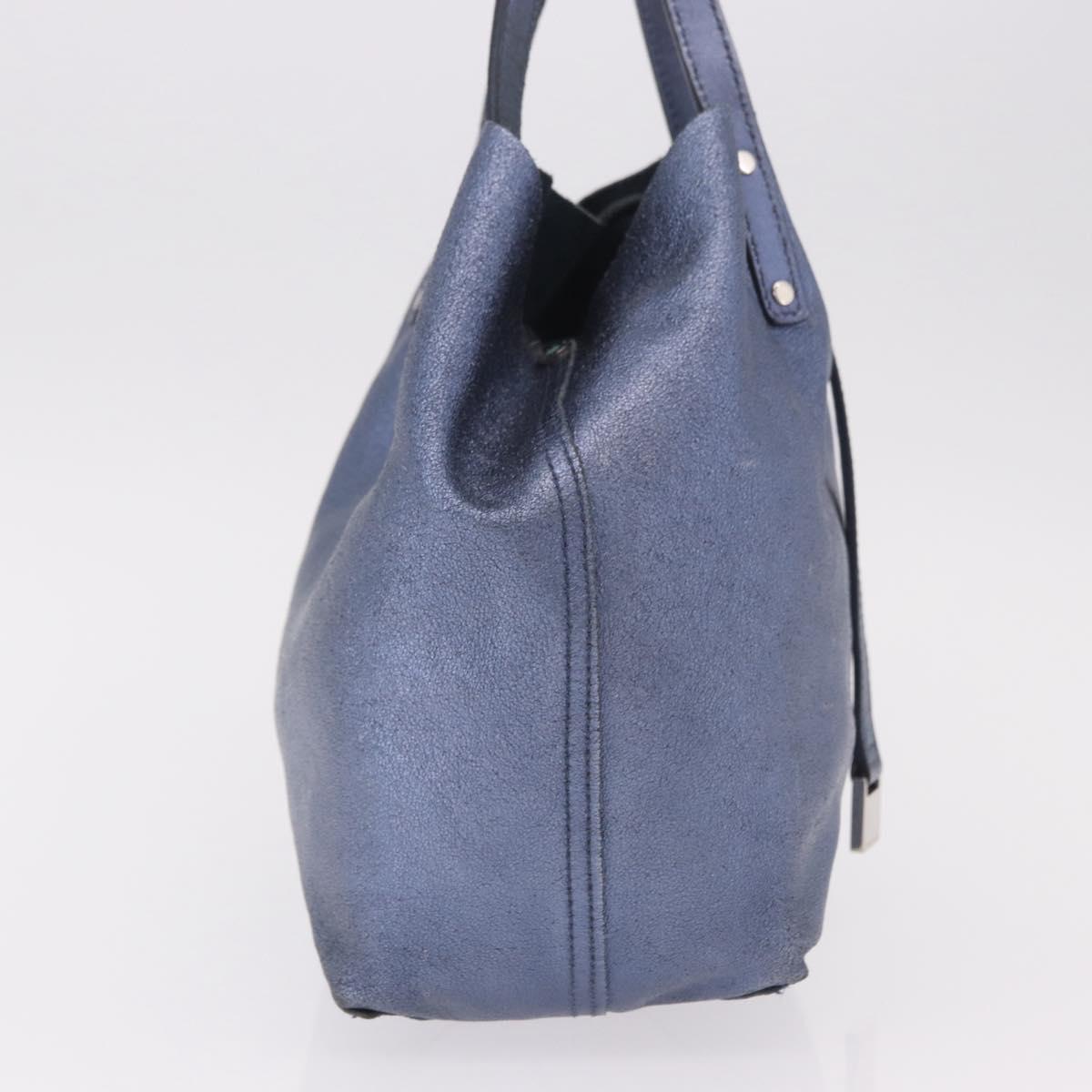 TIFFANY&Co. Reversible Hand Bag Suede Leather Blue Auth 189384