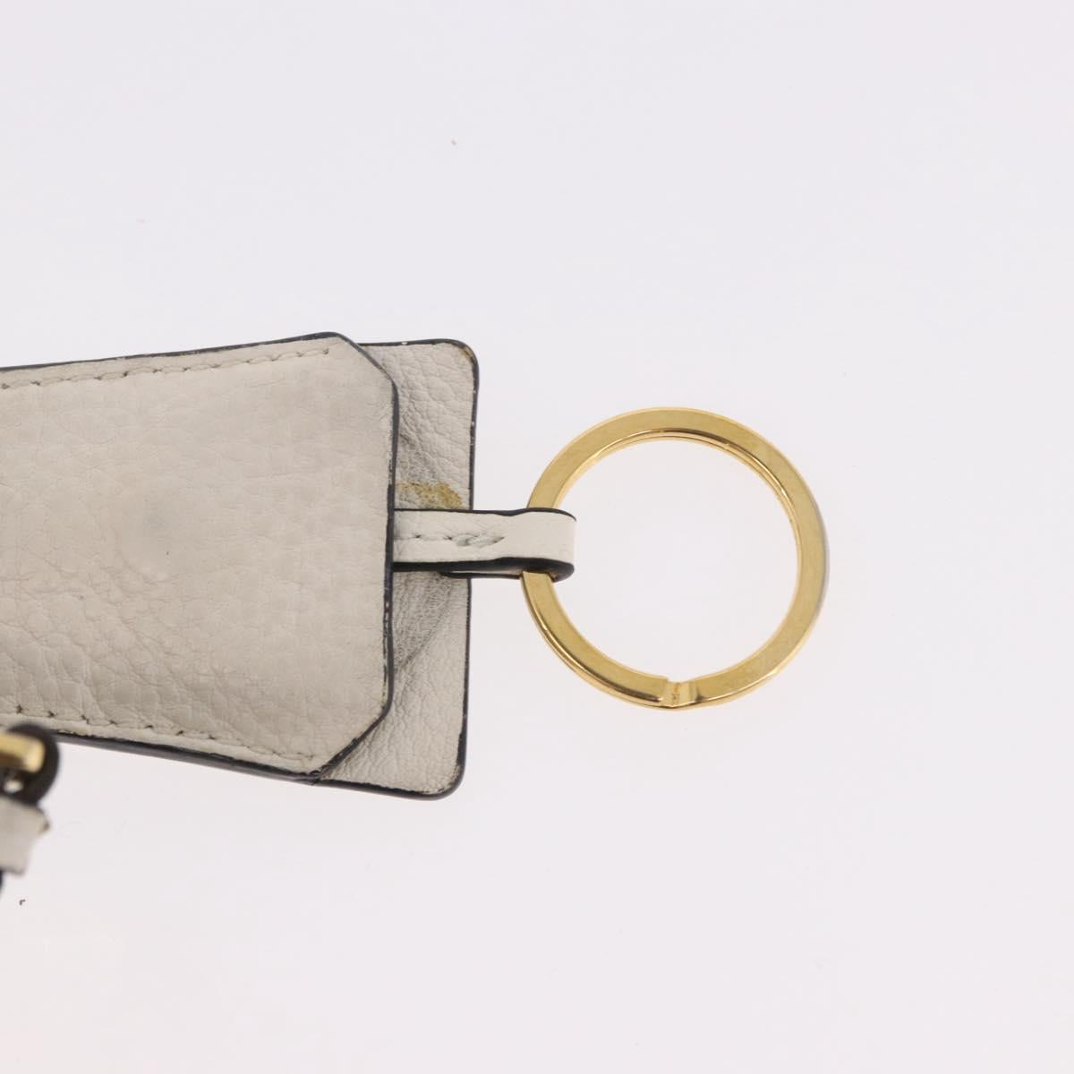 PRADA Hand Bag Vittero Dino Leather 2way White Gold Auth 189711A