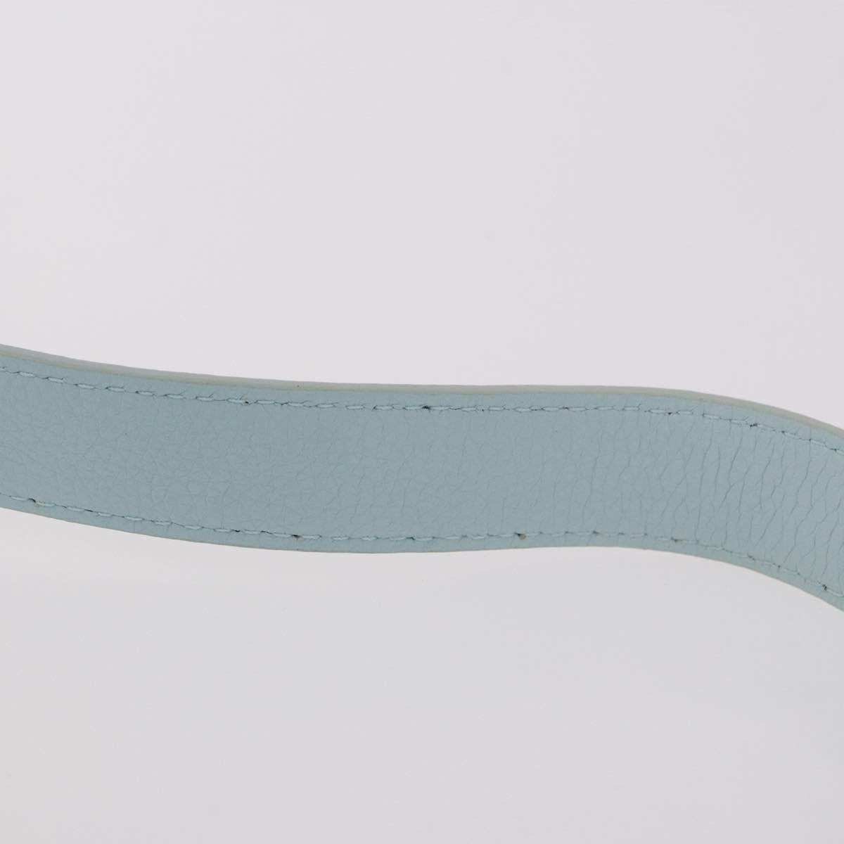 BOTTEGA VENETA Shoulder Bag Nylon Light Blue Silver Auth 189899M