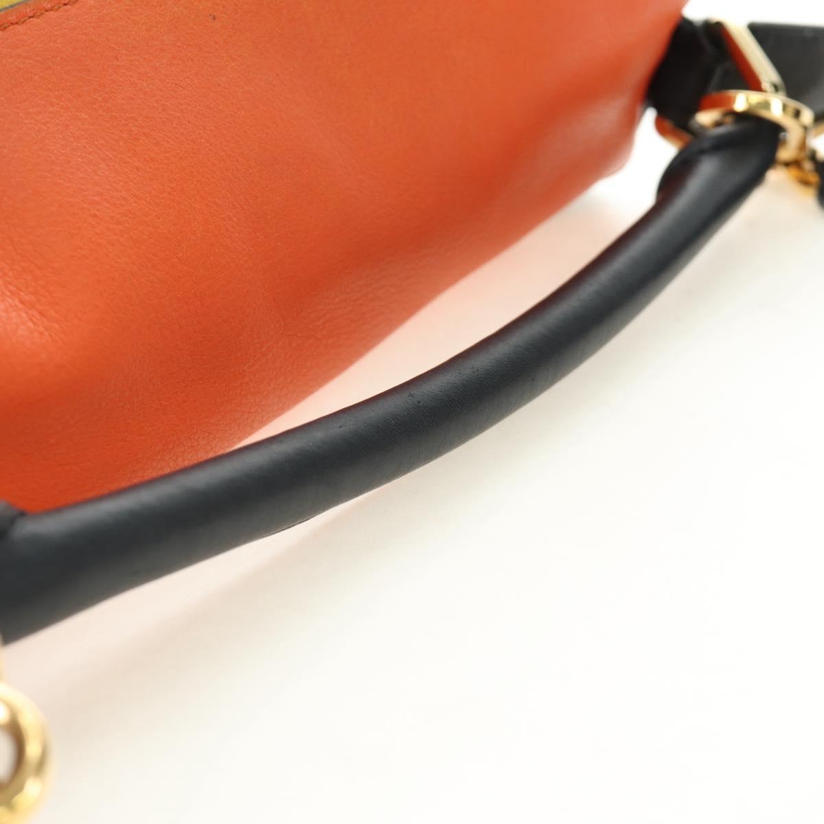 LOEWE Anagram Puzzle Bag Small Bag Leather 2way Multicolor Gold Auth 190046M