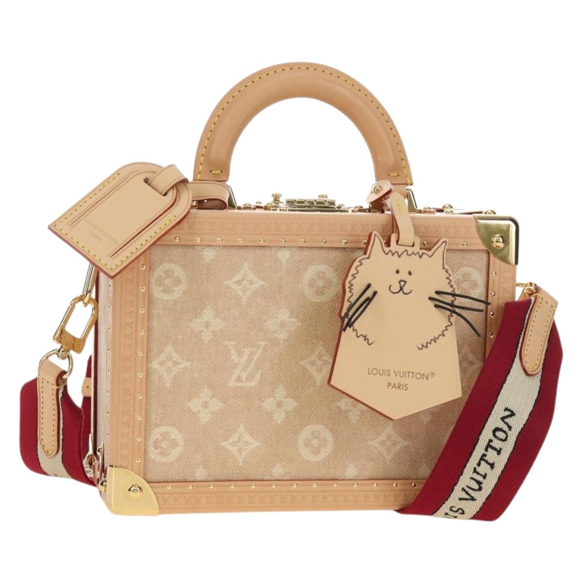 LOUIS VUITTON Miaowgram Petite Vallees Hand Bag Beige M14592 LV Auth 190136SM