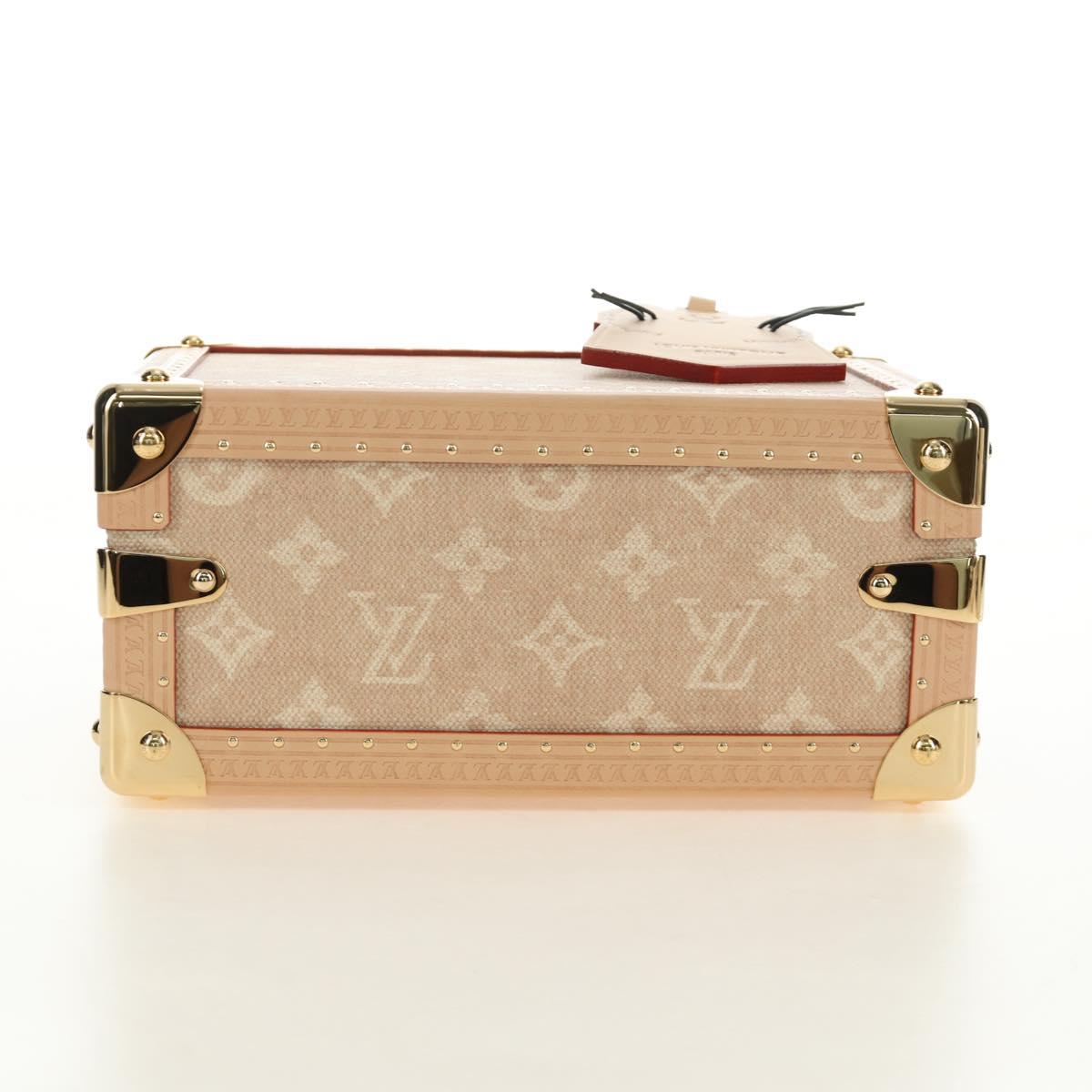 LOUIS VUITTON Miaowgram Petite Vallees Hand Bag Beige M14592 LV Auth 190136SM