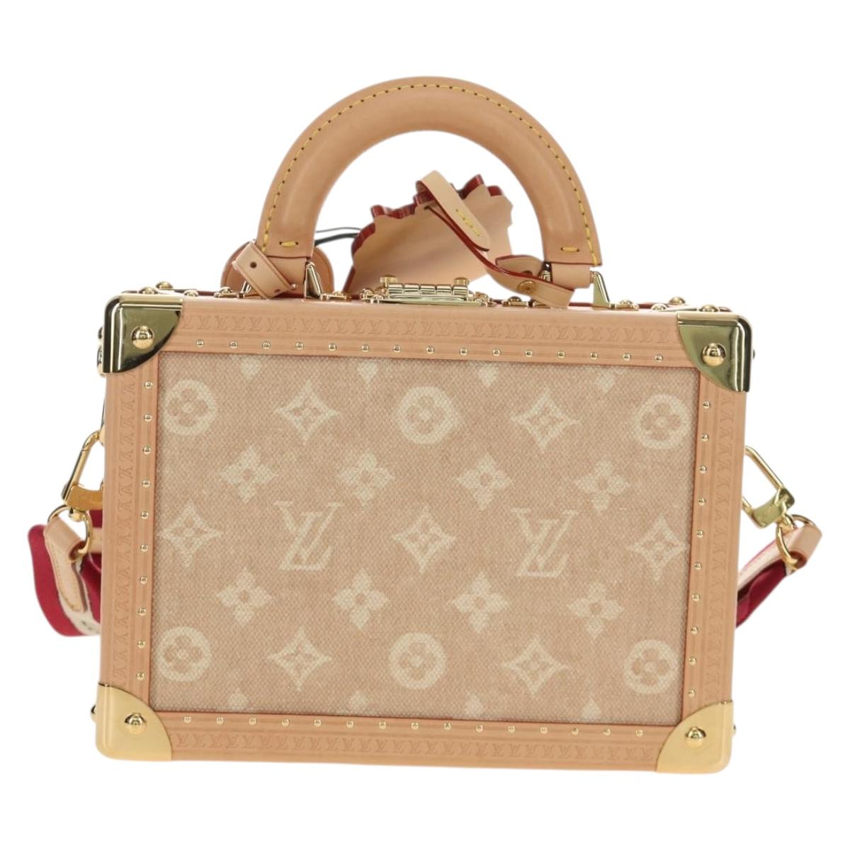 LOUIS VUITTON Miaowgram Petite Vallees Hand Bag Beige M14592 LV Auth 190136SM