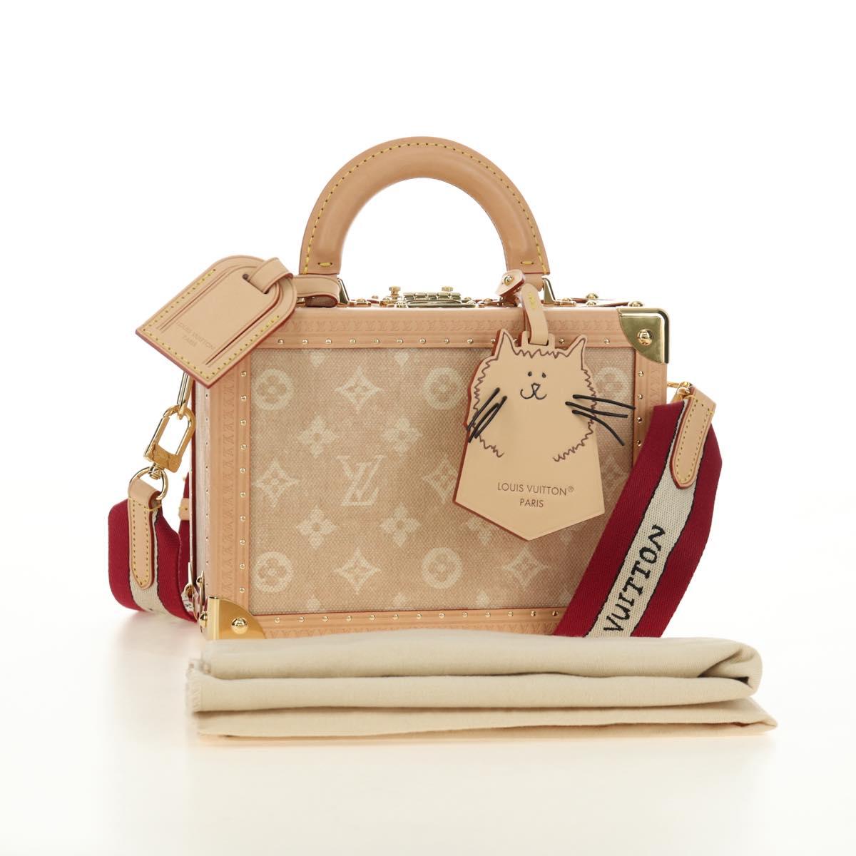 LOUIS VUITTON Miaowgram Petite Vallees Hand Bag Beige M14592 LV Auth 190136SM