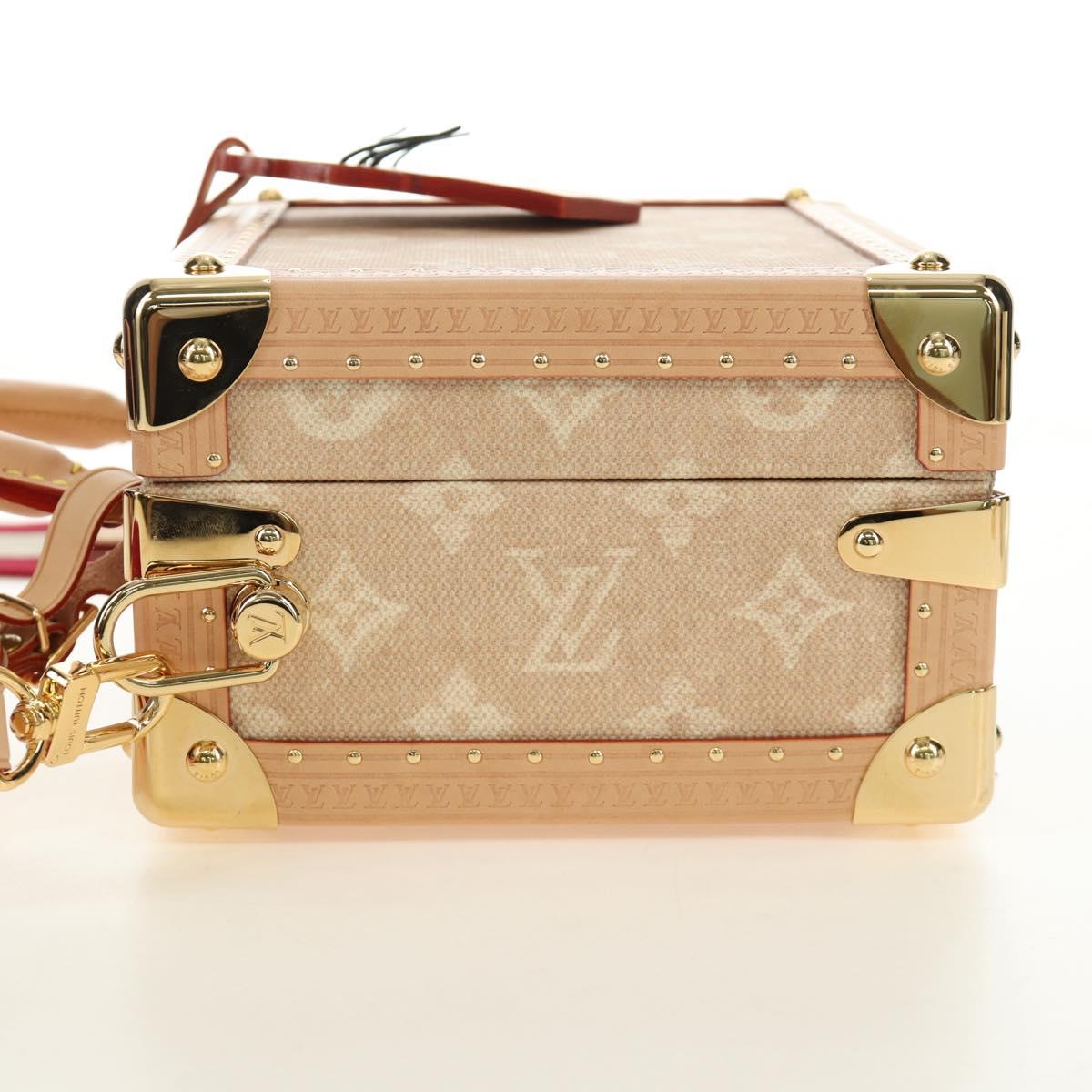 LOUIS VUITTON Miaowgram Petite Vallees Hand Bag Beige M14592 LV Auth 190136SM