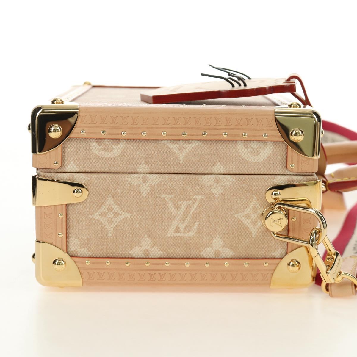 LOUIS VUITTON Miaowgram Petite Vallees Hand Bag Beige M14592 LV Auth 190136SM