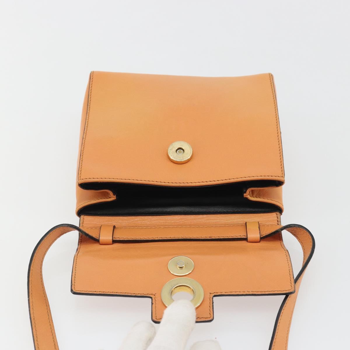 CELINE Circle Shoulder Bag Leather Orange Gold Auth 190471A