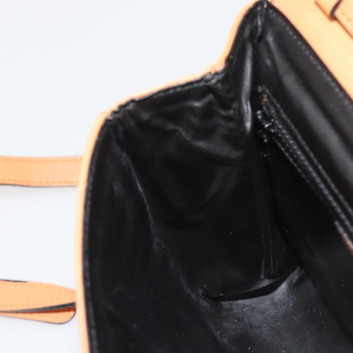CELINE Circle Shoulder Bag Leather Orange Gold Auth 190471A