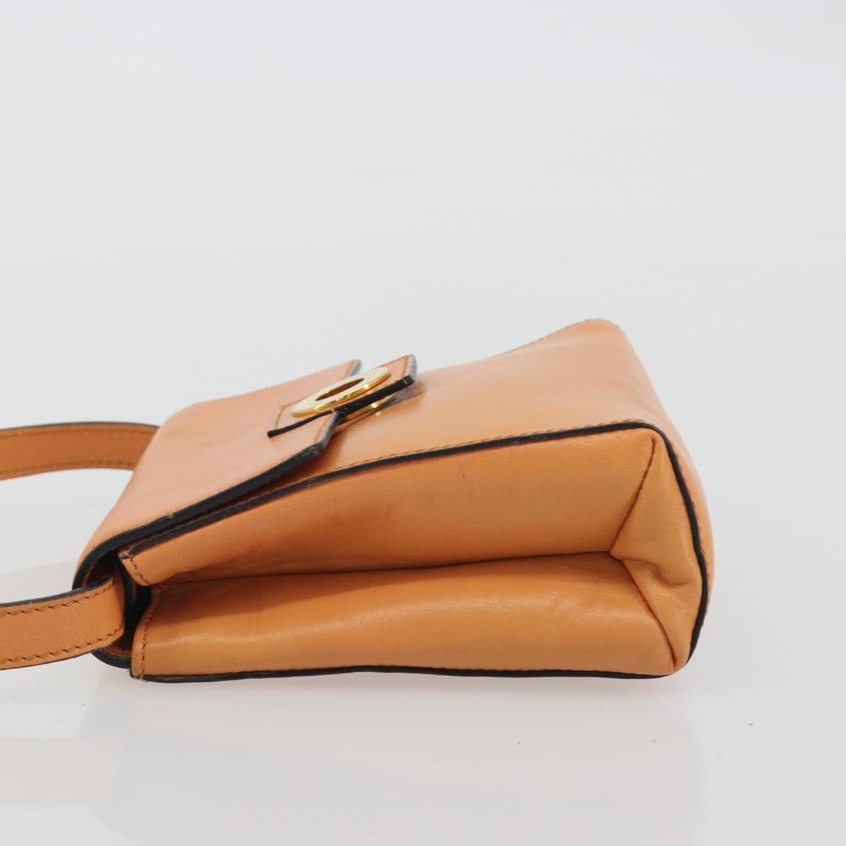 CELINE Circle Shoulder Bag Leather Orange Gold Auth 190471A