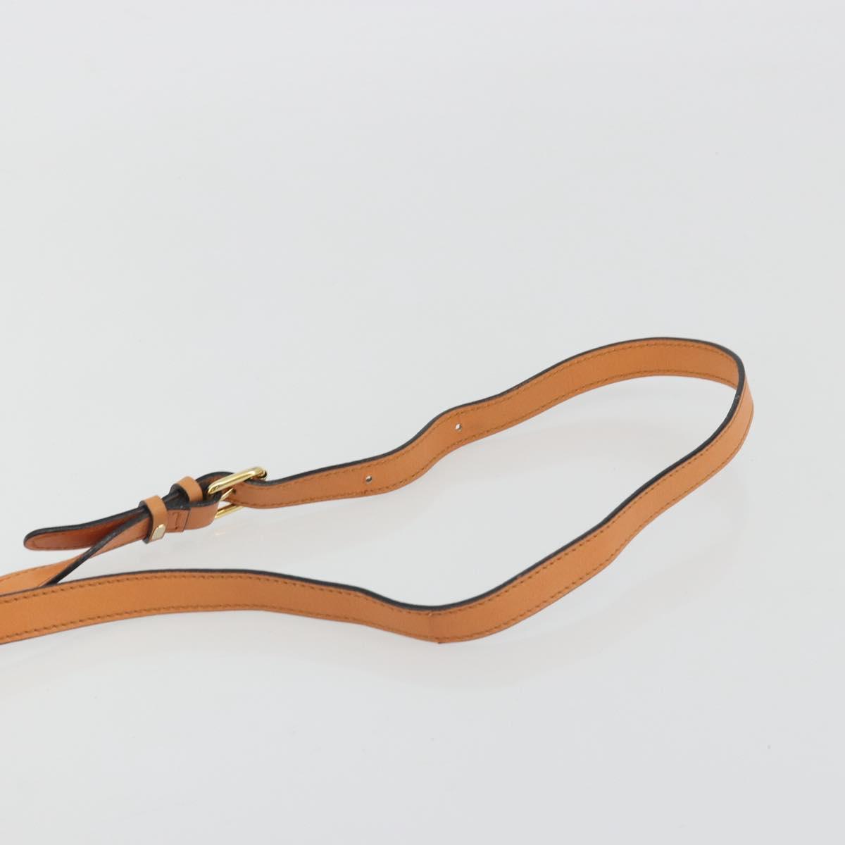 CELINE Circle Shoulder Bag Leather Orange Gold Auth 190471A