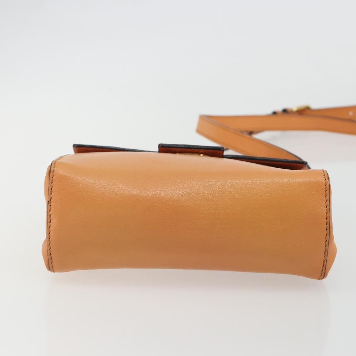 CELINE Circle Shoulder Bag Leather Orange Gold Auth 190471A