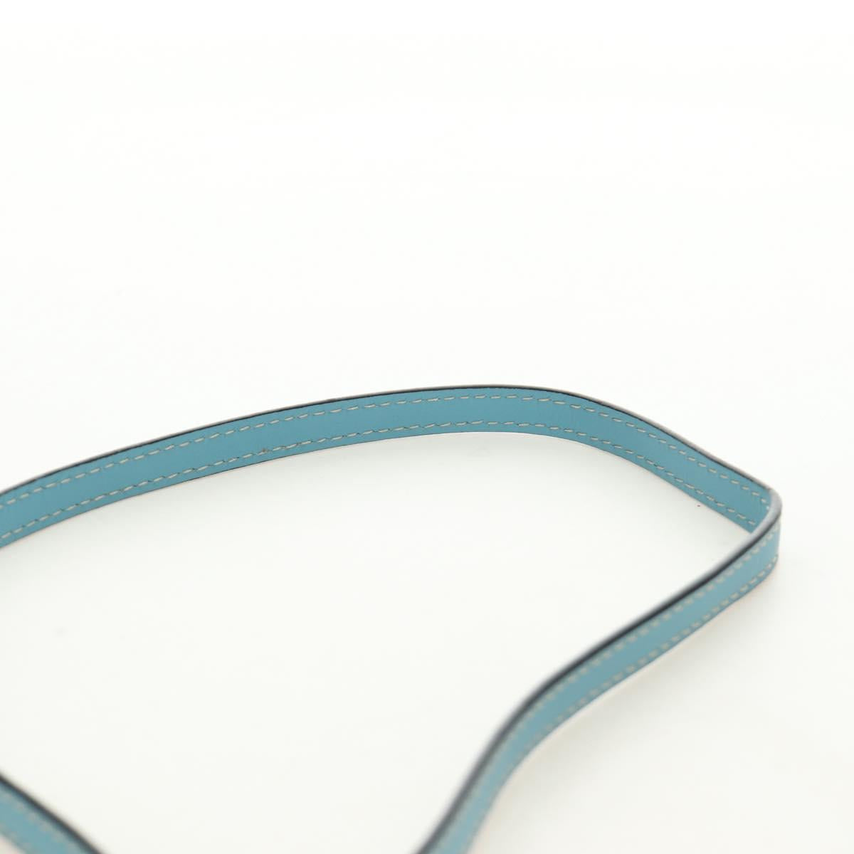 LOEWE Gate Bag Shoulder Bag Raffia Light Blue Gold Auth 190481M