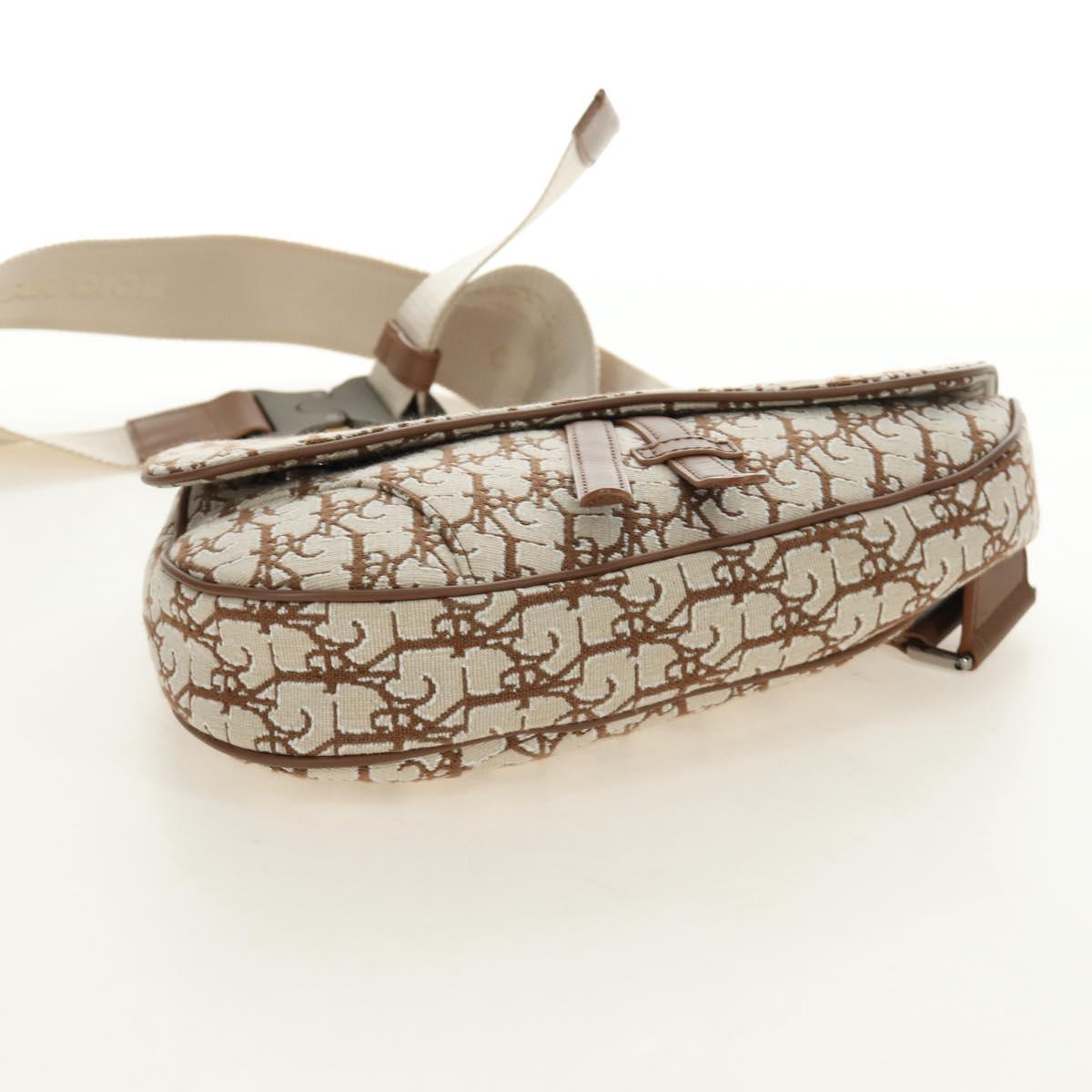 Christian Dior Trotter Canvas Saddle Bag Cactus Jack Beige Auth 190528M