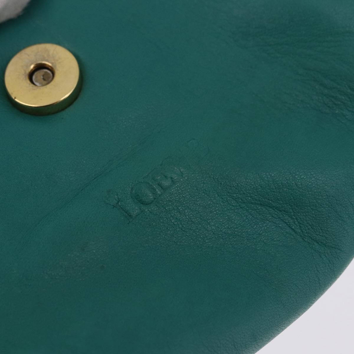 LOEWE Shoulder Bag Leather Green Gold Auth 190720A