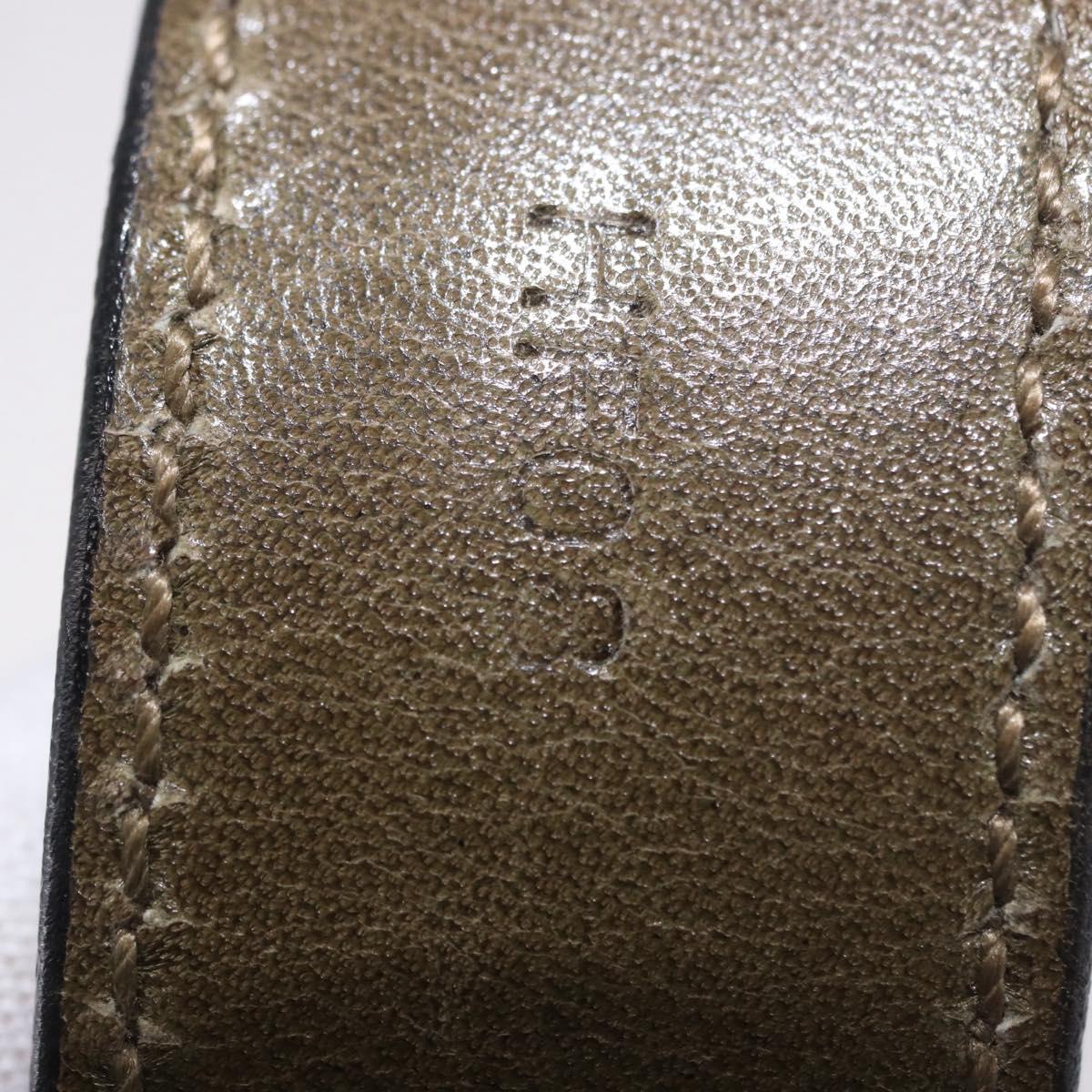 CELINE Shoulder Bag Leather Green Gold Auth 190980