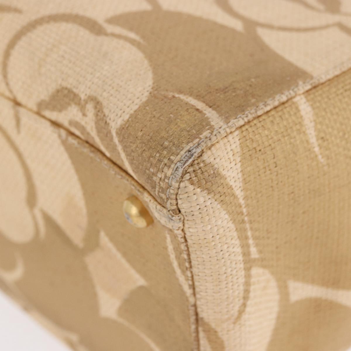 CHANEL Chain Shoulder Tote Bag Raffia Beige Gold CC Auth 191448V
