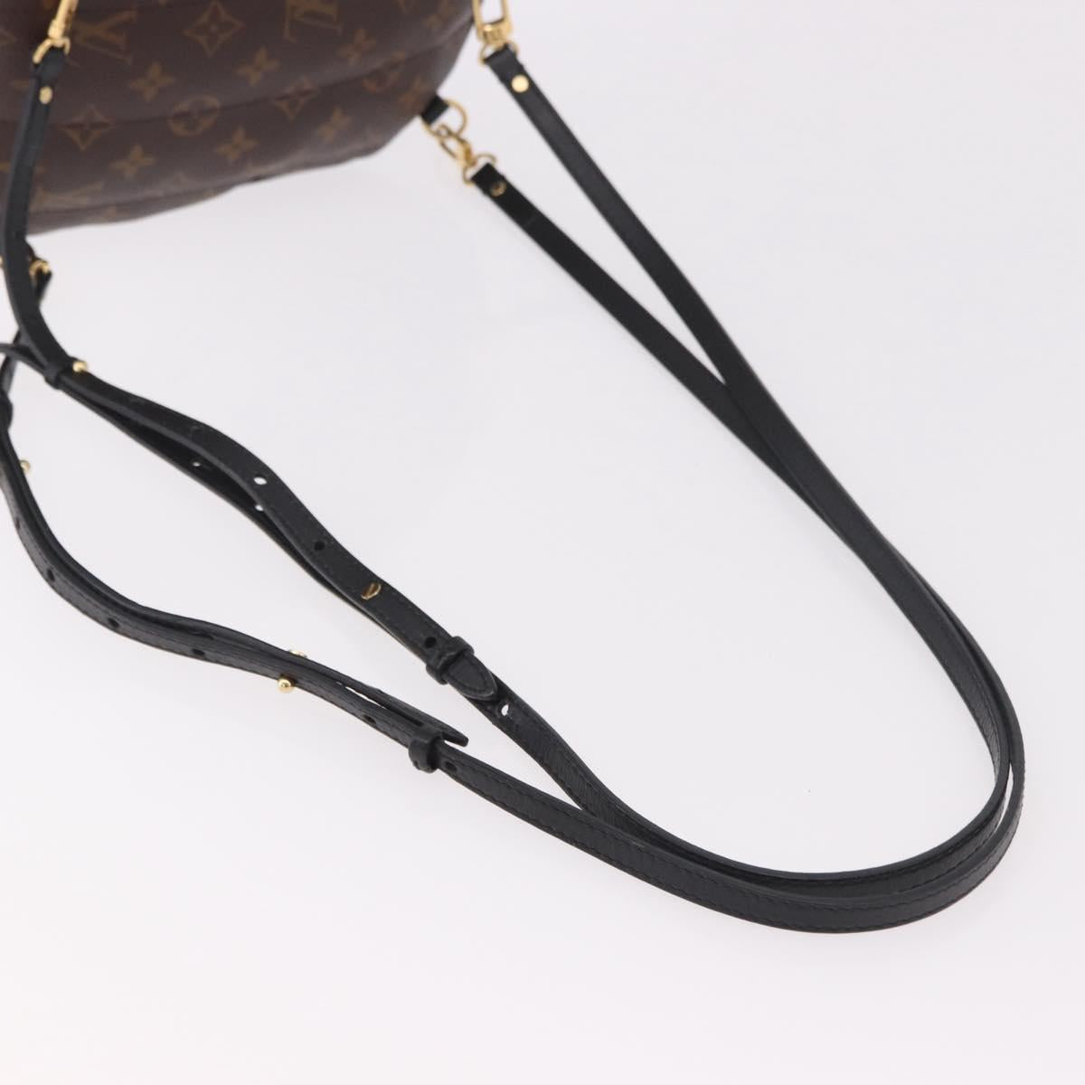 LOUIS VUITTON Monogram Palm Springs Mini Backpack M42971 LV Auth 191617A