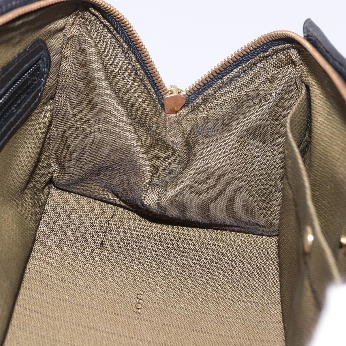 FENDI Zucca Canvas Vanity Hand Bag 2way Brown Gold Auth 191672