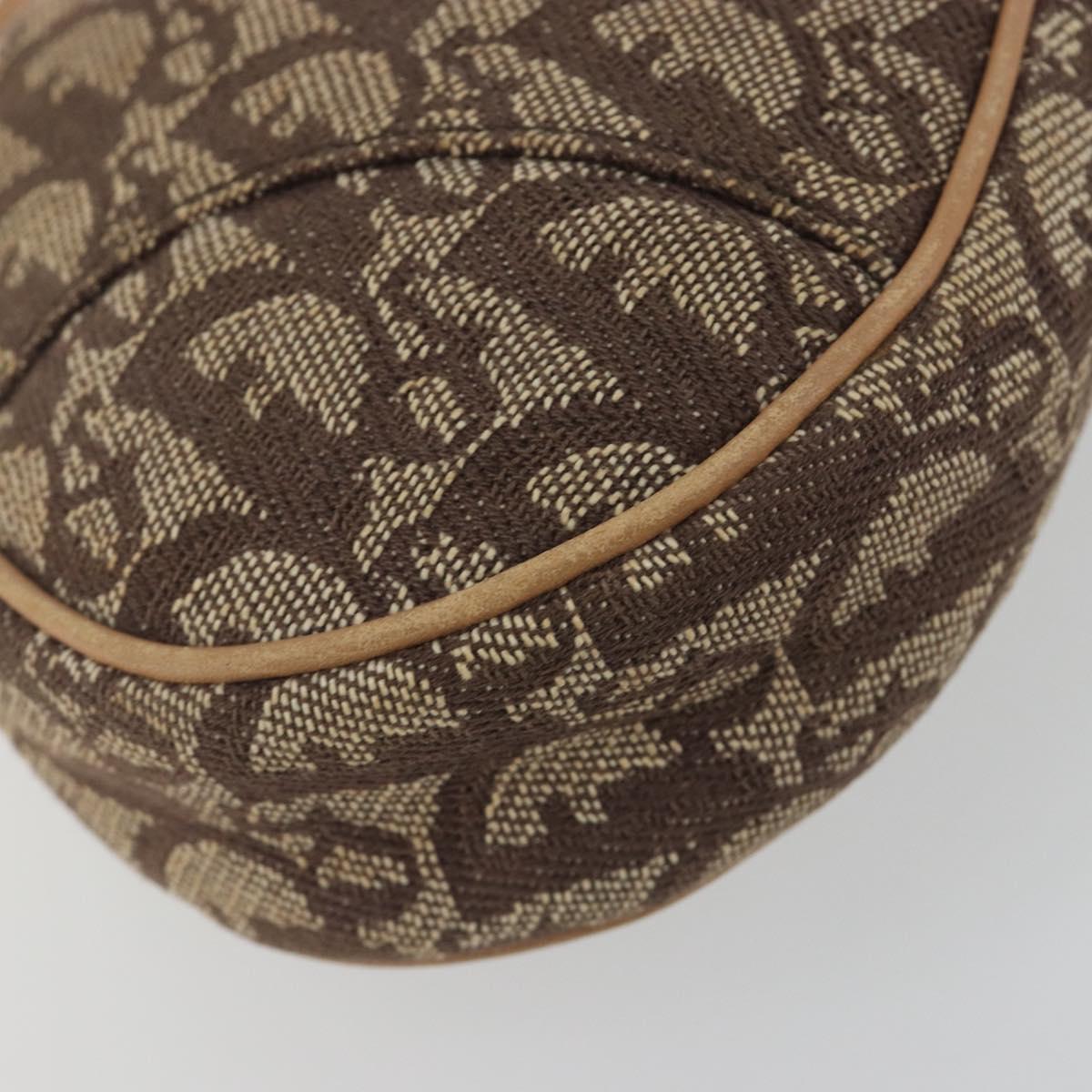 Christian Dior Trotter Canvas Saddle Accessory Pouch Brown Gold Auth 192201A