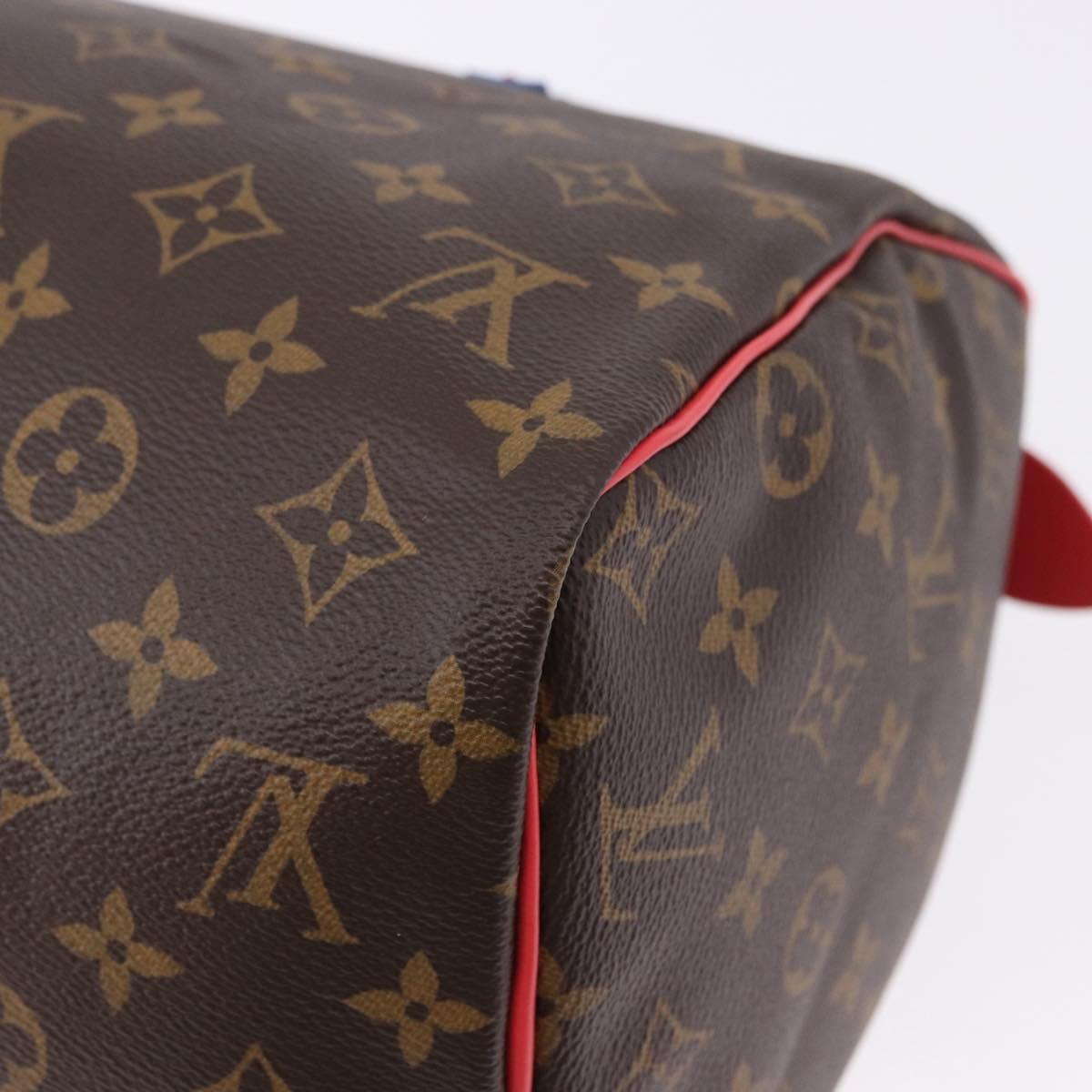 LOUIS VUITTON Monogram Totem Speedy 30 Hand Bag M41665 LV Auth 192431SV