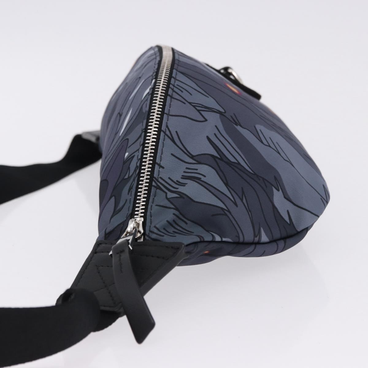 LOEWE LOEWE × Studio Ghibli Howl Bum Bag Nylon Black Gray Auth 192555SM