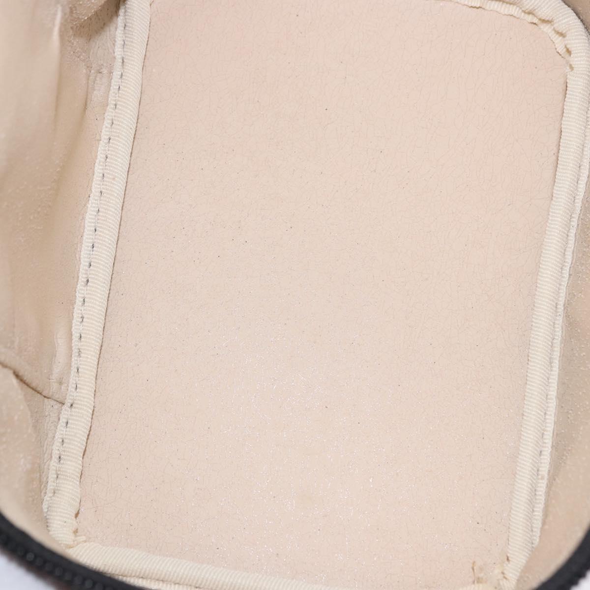 FENDI Zucca Canvas Vanity Cosmetic Pouch Brown Gold Tone Auth 192727