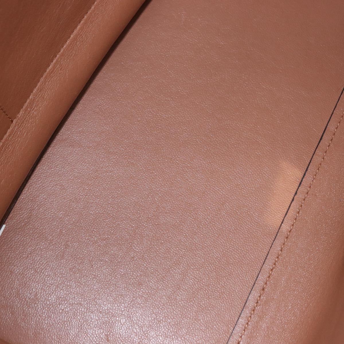 CELINE Trapeze Hand Bag Leather 2way Brown Gold Tone Auth 192822A