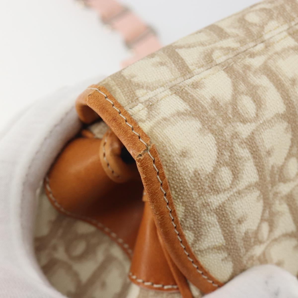 Christian Dior Trotter Canvas Romantic Chain Bag PVC Beige Silver Auth 192923SAM