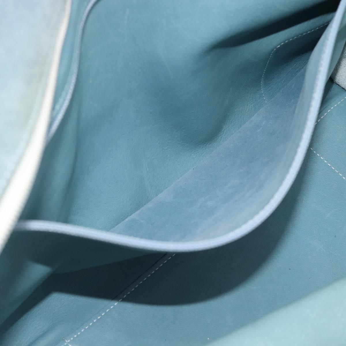 LOEWE Amazona 30 Hand Bag Suede Light Blue Silver Auth 193126V