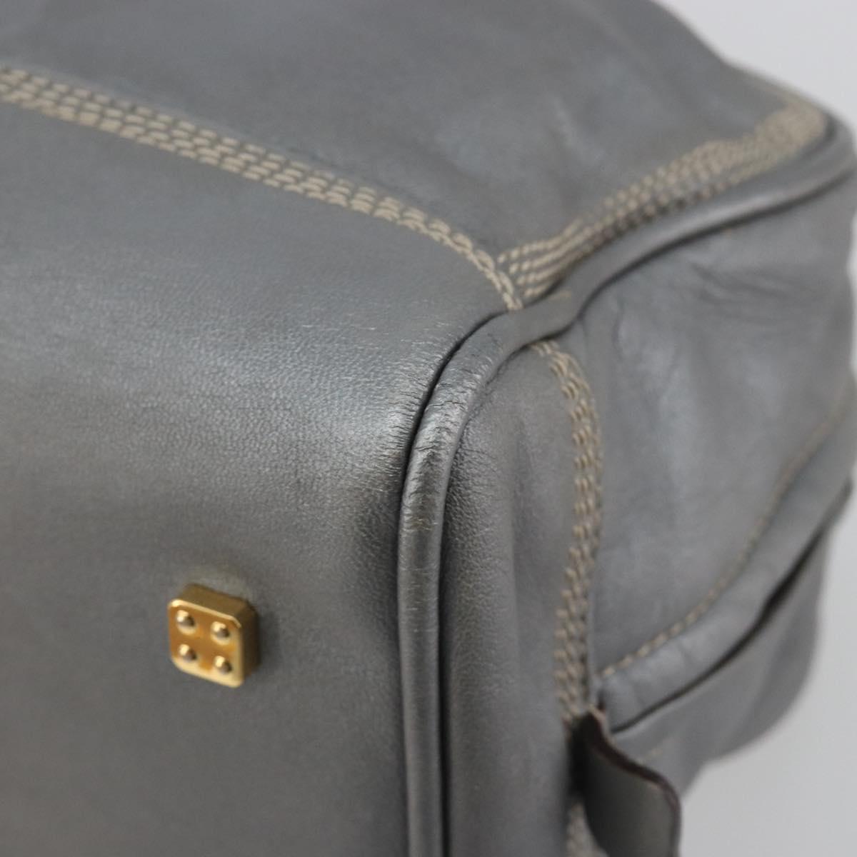 LOEWE Amazona 28 Hand Bag Leather Silver Gold Auth 193132V