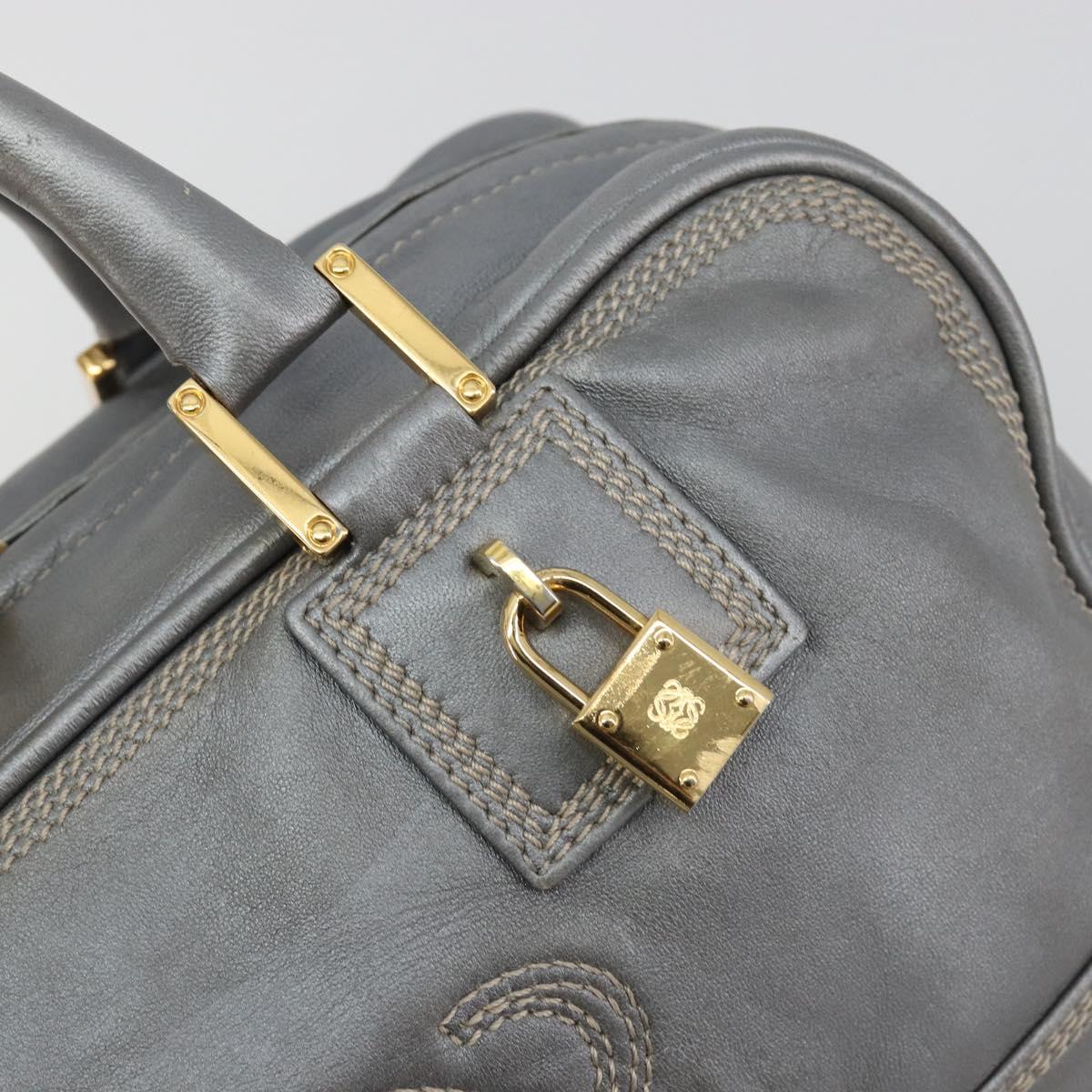 LOEWE Amazona 28 Hand Bag Leather Silver Gold Auth 193132V