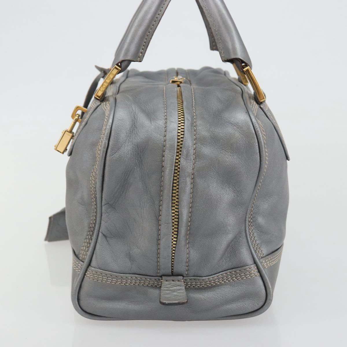 LOEWE Amazona 28 Hand Bag Leather Silver Gold Auth 193132V