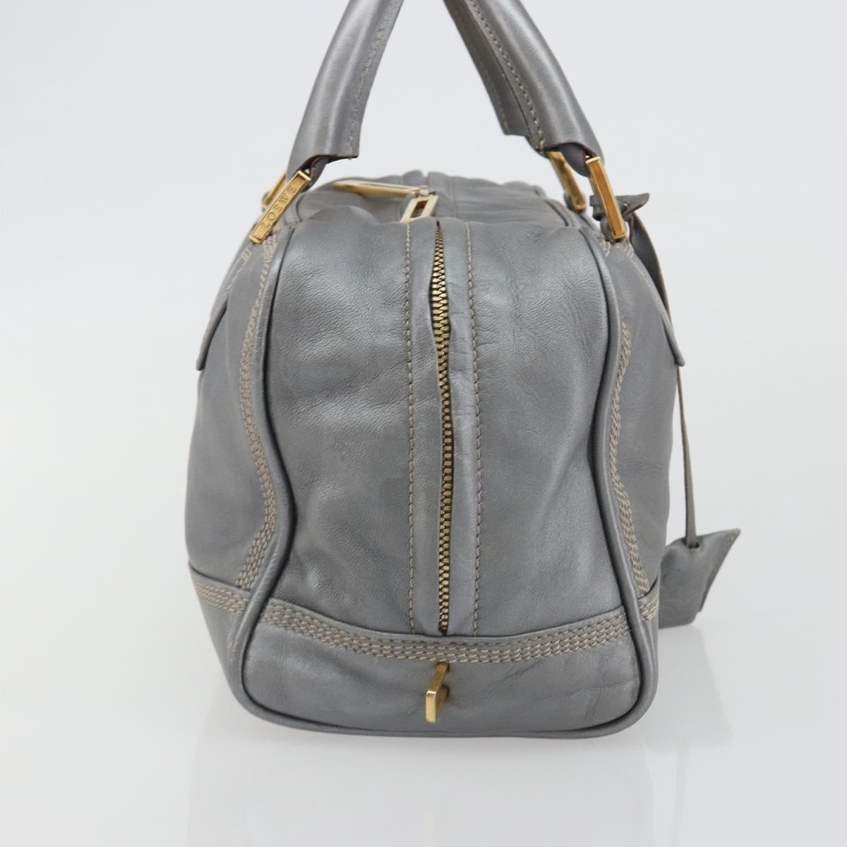 LOEWE Amazona 28 Hand Bag Leather Silver Gold Auth 193132V