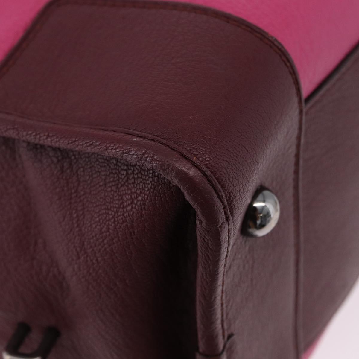 LOEWE Amazona 35 Hand Bag Leather Pink Silver Auth 193499V