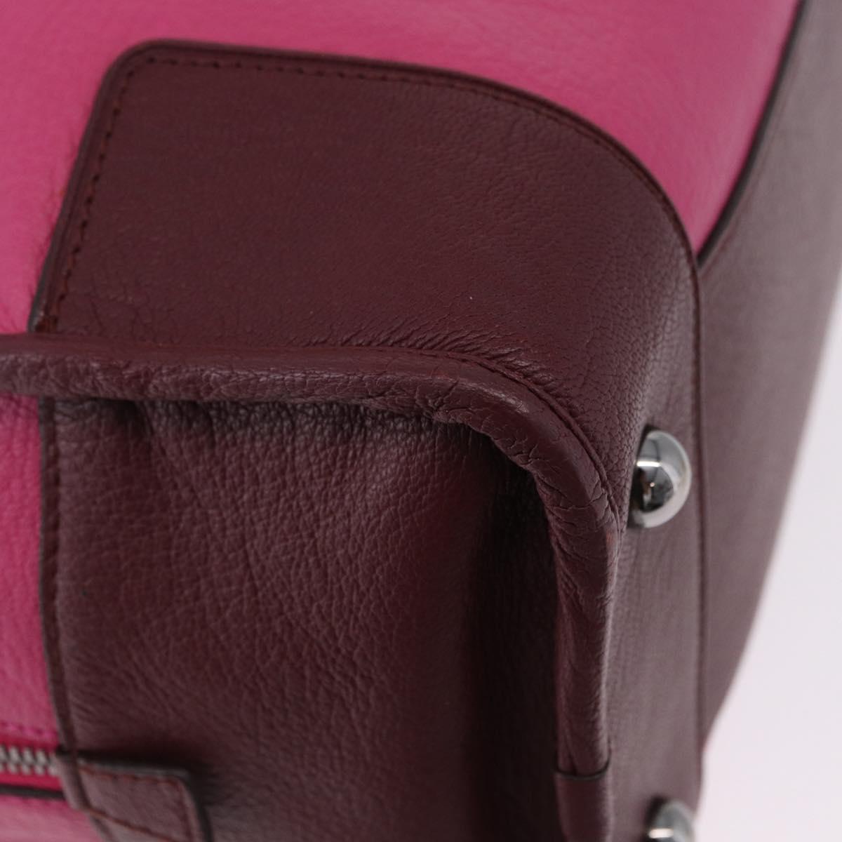 LOEWE Amazona 35 Hand Bag Leather Pink Silver Auth 193499V