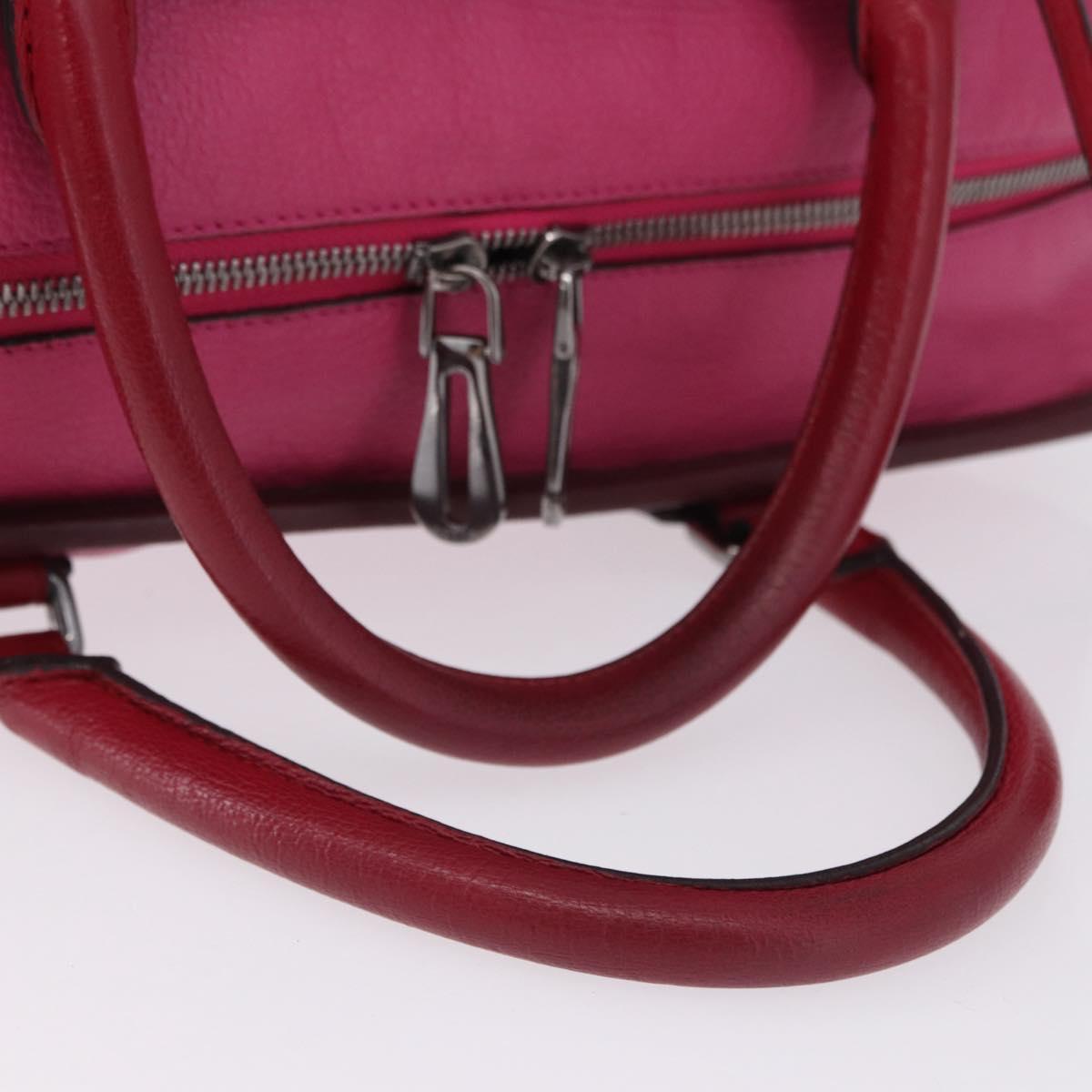 LOEWE Amazona 35 Hand Bag Leather Pink Silver Auth 193499V